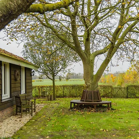 Vakantiehuis De Bonte Specht