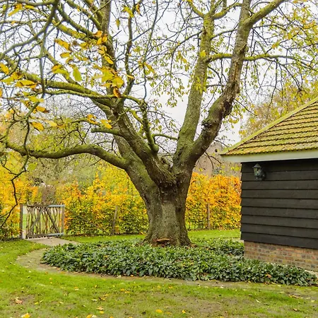 De Bonte Specht Hébergement de vacances Sevenum