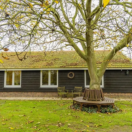 De Bonte Specht * Севенум