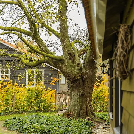 De Bonte Specht Vakantiehuis *