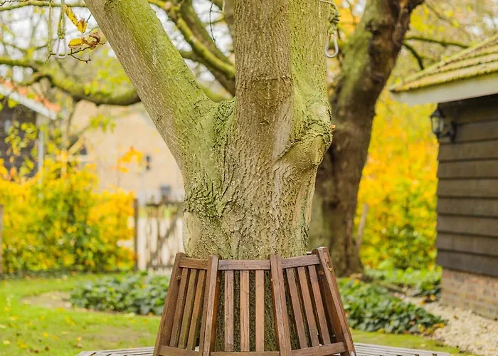 De Bonte Specht Prázdninový dům Sevenum