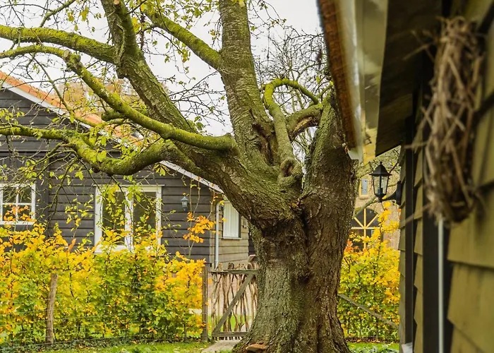 De Bonte Specht Prázdninový dům *